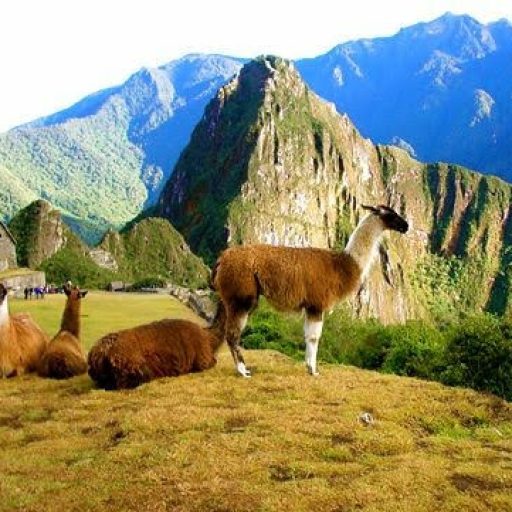 1020710708792873ae8e48e013a48940